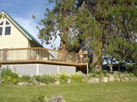 The Tree House